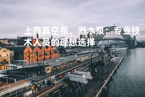 上海真空泵、潜水泵：专业技术人员的理想选择