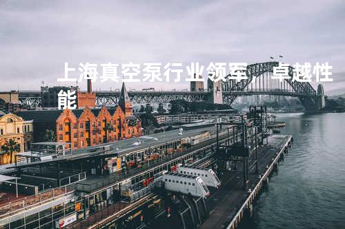 上海真空泵: 行业领军，卓越性能